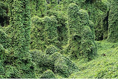 科隆：米哈游《崩坏：星穹铁道》公布全新预告